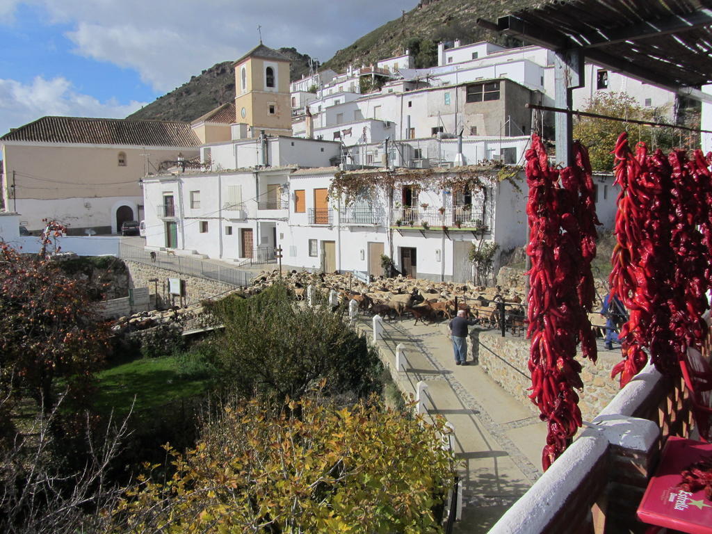 Sierra Y Mar Bed and Breakfast Ferreirola Εξωτερικό φωτογραφία