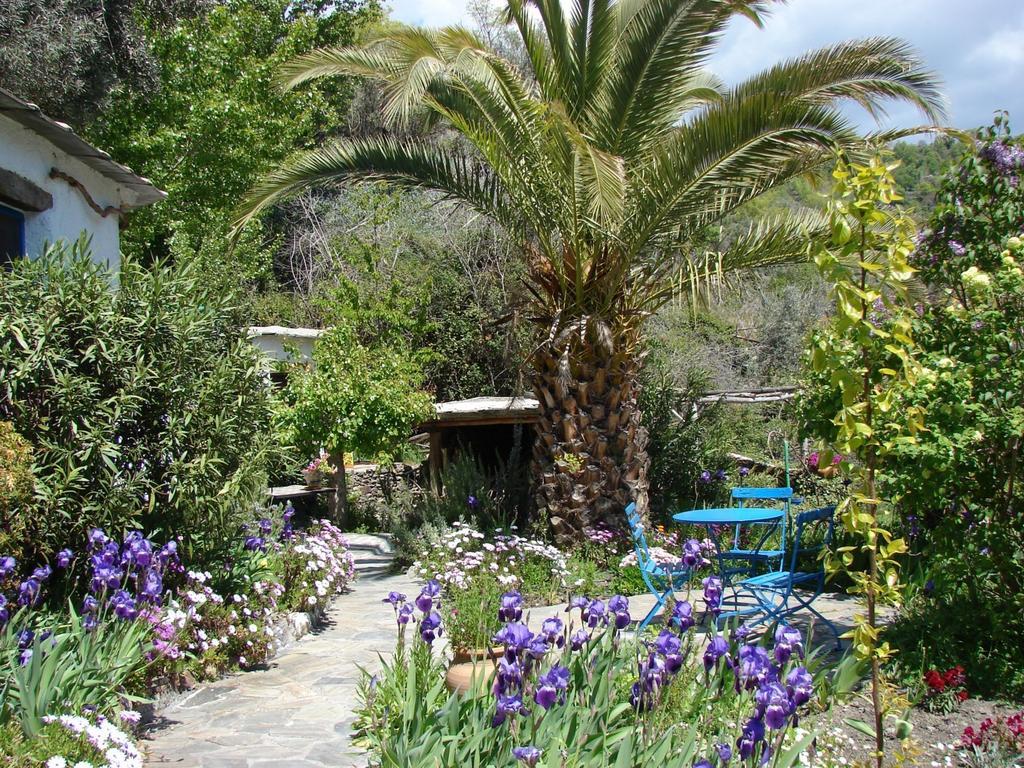 Sierra Y Mar Bed and Breakfast Ferreirola Εξωτερικό φωτογραφία