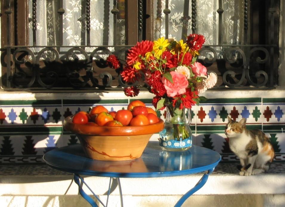 Sierra Y Mar Bed and Breakfast Ferreirola Εξωτερικό φωτογραφία