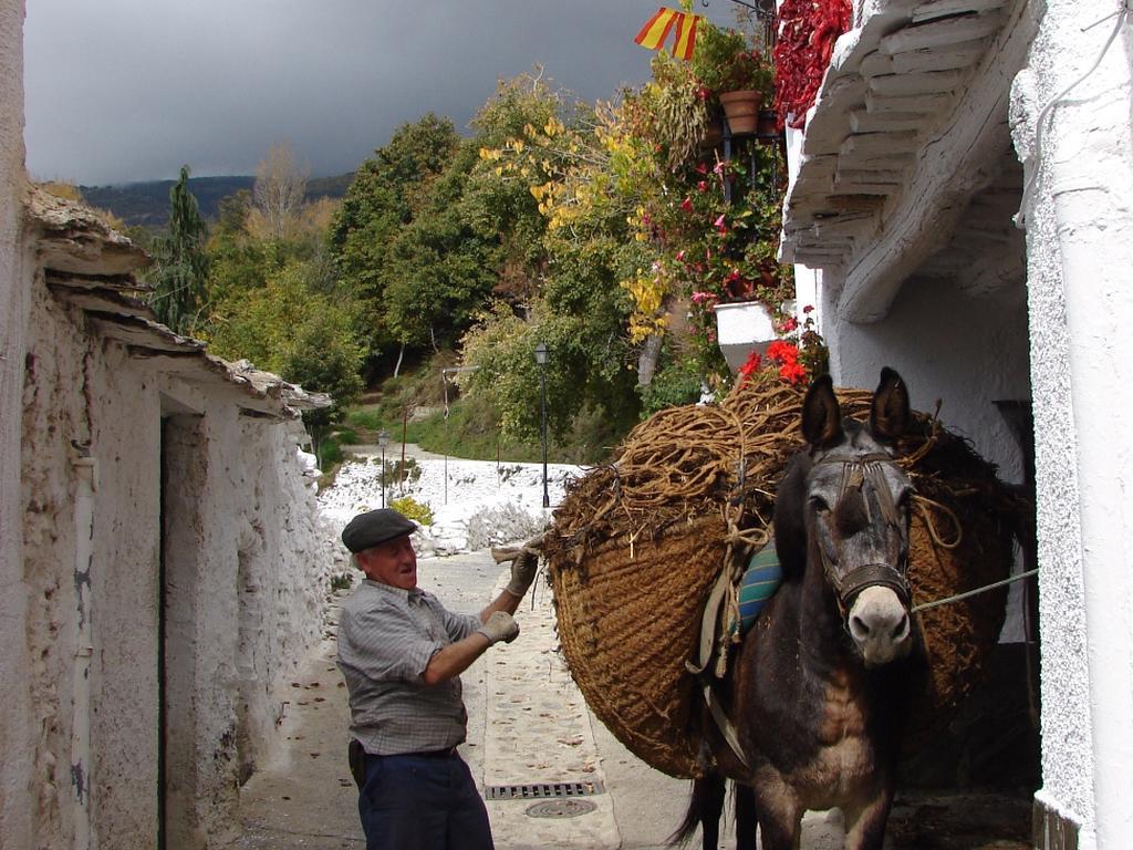 Sierra Y Mar Bed and Breakfast Ferreirola Εξωτερικό φωτογραφία